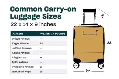 Largest luggage size for check-in