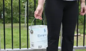 How much does a 5 gallon bucket of paint weigh
