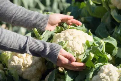 How much does a head of cauliflower weigh
