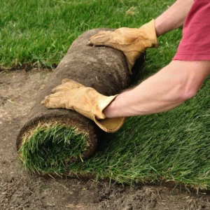 How many rolls of sod on a pallet