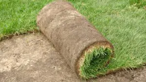 How much is a pallet of st augustine grass