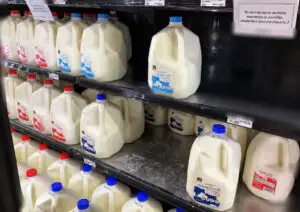 Dimensions of a gallon of milk