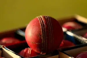 Cricket ball weight