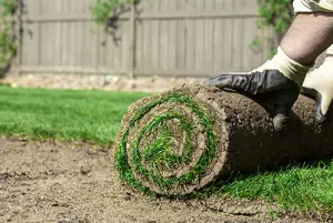 How Big Is a Sod Roll