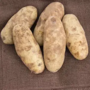 How do you calculate the quantity of russet potatoes needed to reach 2 lbs?
