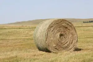 How big are hay bales