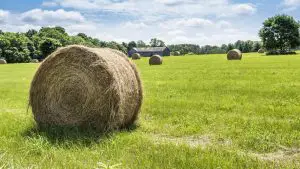 How big are hay bales