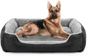 What Size Dog Bed Do I Need