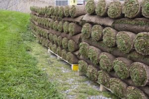 How big is a sod roll