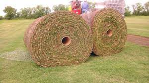 How big is a sod roll